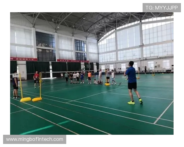杨磊羽毛球人生的深度对话与成长之路探索
