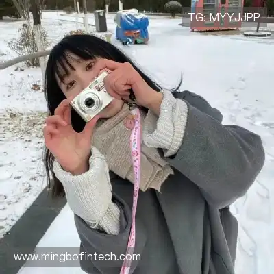 蒙芝斯