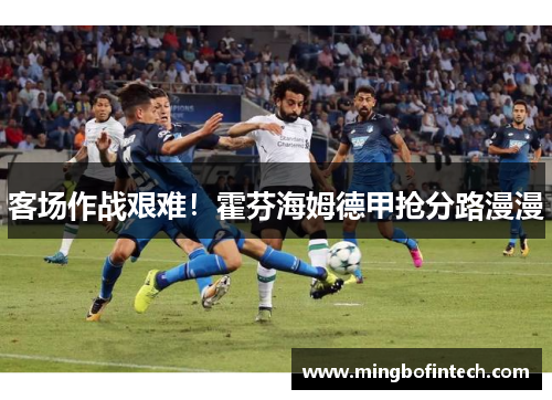 客场作战艰难！霍芬海姆德甲抢分路漫漫