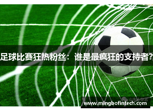 足球比赛狂热粉丝：谁是最疯狂的支持者？