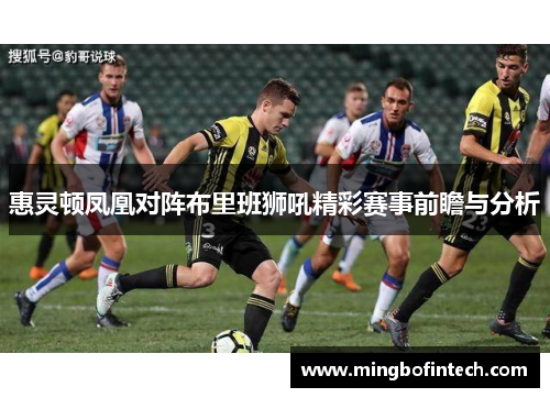 惠灵顿凤凰对阵布里班狮吼精彩赛事前瞻与分析