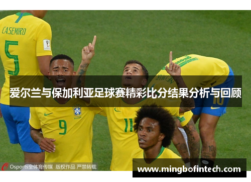 爱尔兰与保加利亚足球赛精彩比分结果分析与回顾